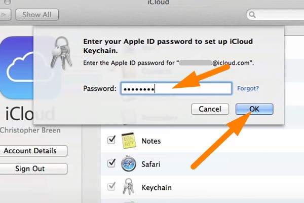 Backup keychain in iCloud - input the password