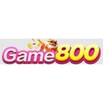 game800netbr