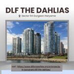 DLF The Dahlias