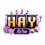 Haywin Noi Hoi Tu Niem Vui Ca Cuoc Dinh Cao