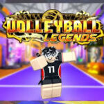 volleyball313