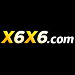 X6X6