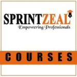 sprintzeal123