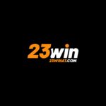23WIN