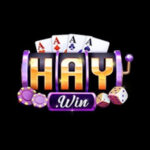 2haywincom