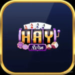 2Haywin io