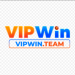 Vipwin team