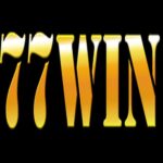 77Winvn plus