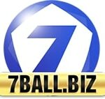 7ballbiz