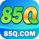 85q org