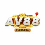 AV88