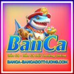 Ban Ca Doi Thuong Game Giai Tri San Thuong Sieu Hap Dan