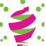 Beetle Branding Studio