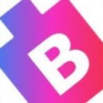 BitsWits - Mobile App Development Company Dallas