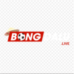 bongdalu7 live