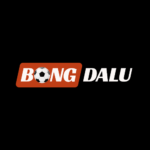 bongdaluplace