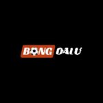 Bongdalu – Cổng thông tin thể thao