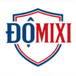 domixinet1