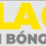 ericschneiderman.com scam