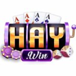 Haywin