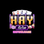 Haywin name