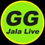 jalalivegg1