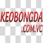 Keo Bong Da Hom Nay Ty Le Ca Cuoc Chuan Nhat