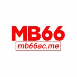 MB66 – Cổng Cá Cược Trực Tuyến