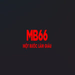 MB66