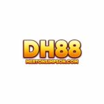 DH88