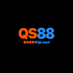 qs88vipnet