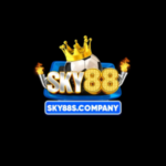 sky88scompany1