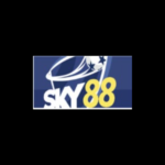 sky88t business