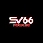 SV66
