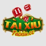 Tai Xiu Online Choi Tai Xiu Doi Thuong Uy Tin Nhanh Gon