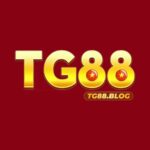 TG88 – Nhà Cái Cá Cược Trực Tuyến Hàng Đầu