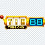 Tin88 ong