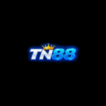 tn88new