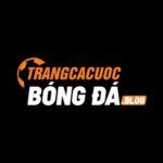 Trang Cá Cược Bóng Đá
