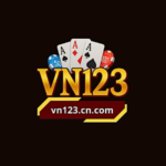 Vn123gg