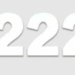 Win222 Plataforma