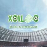 xoilactvthue